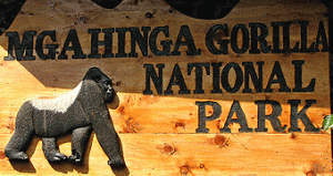 mgahinga_gorilla_park